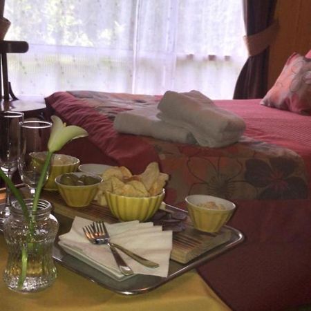 Hostal Del Muelle Valdivia Ngoại thất bức ảnh